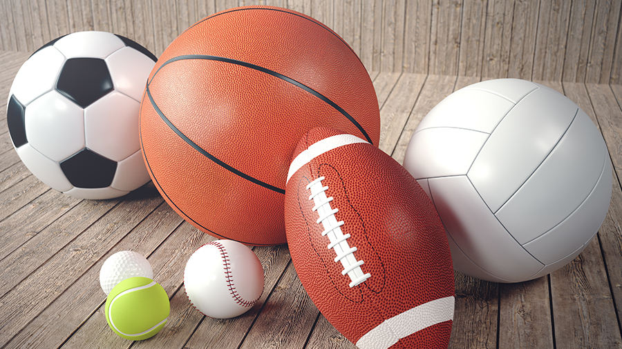 The Sports Industry in India Investment Prospects in Manufacturing