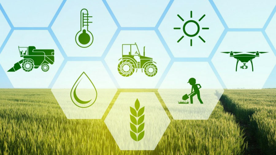 Farm-to-Table Delivery: How Farmers Post is Shaping the Future of