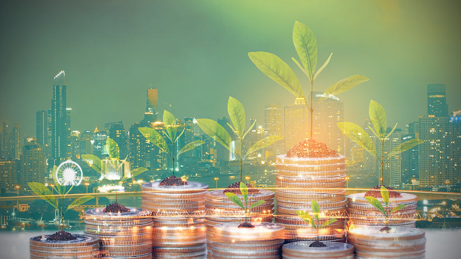 India's Green Investment Roadmap: 2025 Taxonomy and the Path to Net Zero