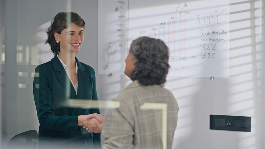 How French Companies Leverage India as a Global Delivery Base